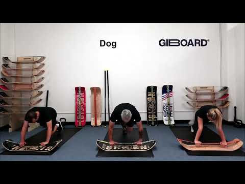 Dog Exercise Demonstration on a GiBoard Balance Board